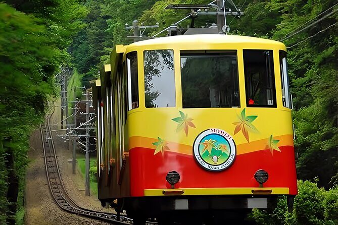 Private All Inclusive Family Tour to Takao Mountain with Prizes - A Deep Dive into the Mt. Takao Family Tour