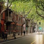 Private Amazing Shanghai City Day Tour in Your Way - Source