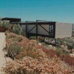 Private and custom group Wine tour Valle de Guadalupe - Who Will Love This Tour?