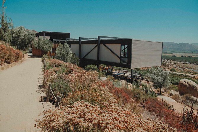 Private and custom group Wine tour Valle de Guadalupe