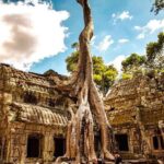 Private Angkor Wat Tour from Siem Reap - An In-Depth Look at the Private Angkor Tour