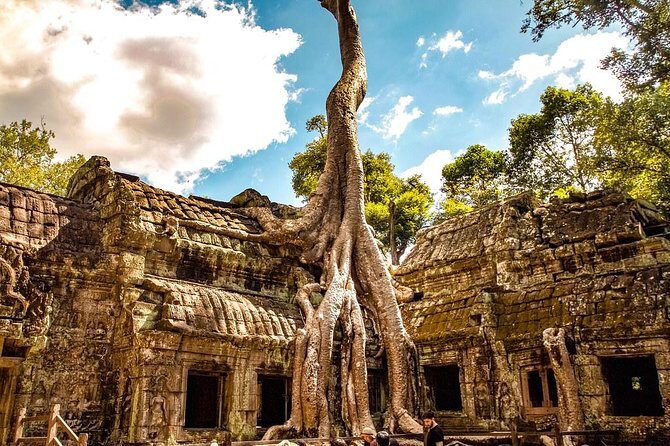 Private Angkor Wat Tour from Siem Reap - An In-Depth Look at the Private Angkor Tour