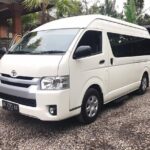 Private Arrival Transfer: Bali Airport to Ubud Area - A Deep Dive into Your Bali Transfer Experience