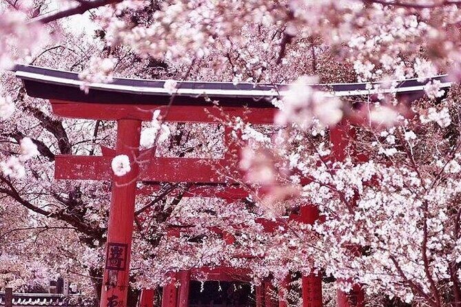 Private arrival transfer from Kansai International airport to Kyoto City - Authentic Experiences Highlighted in Reviews