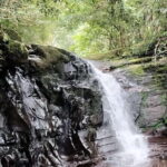 Private Bach Ma National Park Day Trip from Hoi An/Da Nang or Hue - Potential Downsides or Considerations