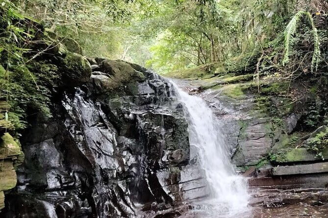 Private Bach Ma National Park Day Trip from Hoi An/Da Nang or Hue - Potential Downsides or Considerations