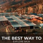 PRIVATE BAJA WINERIES EXPERIENCE (Transportation,concierge,custom schedule) - Exploring the Details of the Baja Wineries Experience