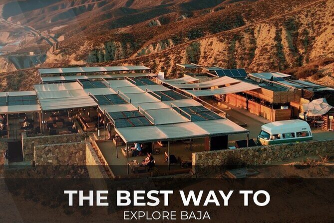 PRIVATE BAJA WINERIES EXPERIENCE (Transportation,concierge,custom schedule) - Exploring the Details of the Baja Wineries Experience