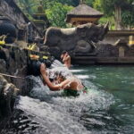 Private Bali Airport Transfer in Ubud Area - An In-Depth Look at the Private Bali Airport Transfer in Ubud Area