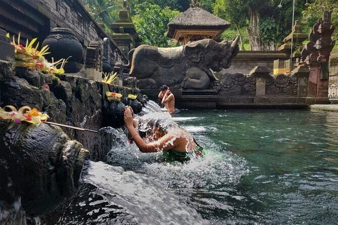 Private Bali Airport Transfer in Ubud Area - An In-Depth Look at the Private Bali Airport Transfer in Ubud Area