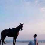 Private Bali Horse Riding In Seminyak Beach - Why This Tour Stands Out