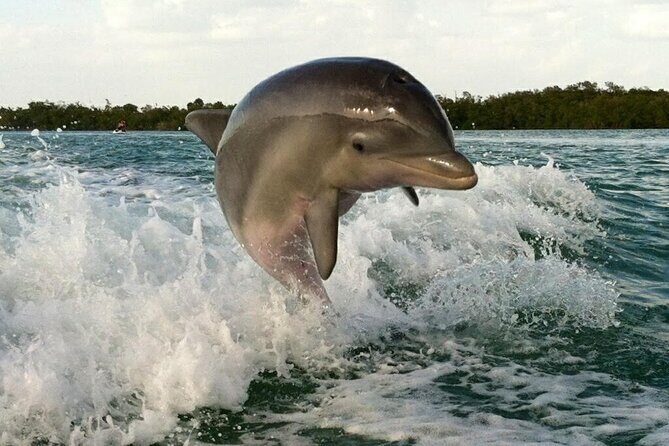 Private Beach or Sunset Boat Tour In Naples Florida - Why This Tour Offers Great Value