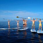Private Beginner Paddleboard 101 Lesson: Polo Beach, Turtle Town - Practical Details and What to Expect