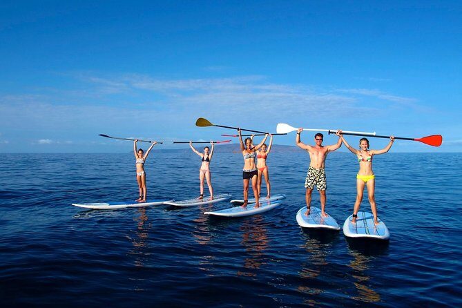 Private Beginner Paddleboard 101 Lesson: Polo Beach, Turtle Town