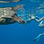 Private Beginner Paddleboard Lesson with Snorkel in Turtle Town - Final Thoughts