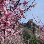 Private Beijing English Driver With 3 Section Great Walls - Practical Details and Tips