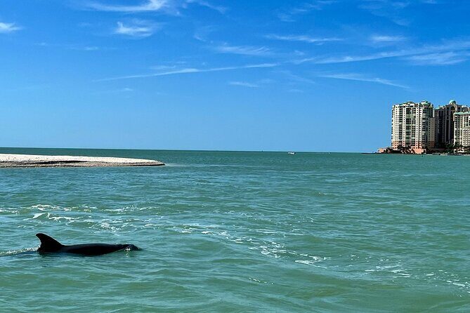 Private Best of Marco Island Dolphin Tour - Who Would Love This Tour?