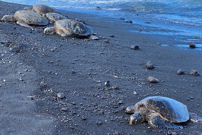 Private Big Island Tour of East to West - FAQs