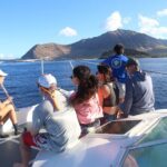 Private Biologist-Led Sea'fari (up to 10 passengers) - The Sum Up