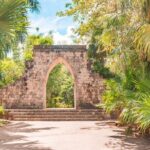 Private Birdwatching Tour with a Guide in Cozumel - Frequently Asked Questions