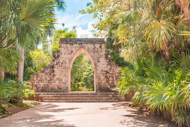 Private Birdwatching Tour with a Guide in Cozumel - Frequently Asked Questions