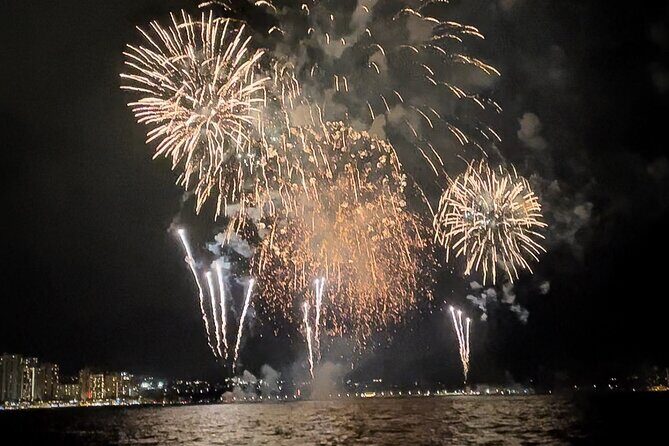 Private Boat and Fireworks Cruise in Waikiki - Who Will Love This Tour?