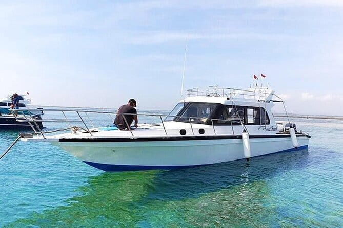 Private Boat Charter Nusa Penida Day Trip - What Makes This Tour Stand Out?