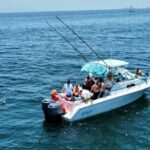 Private Boat Fishing in the Bay of Puerto Vallarta - The Sum Up