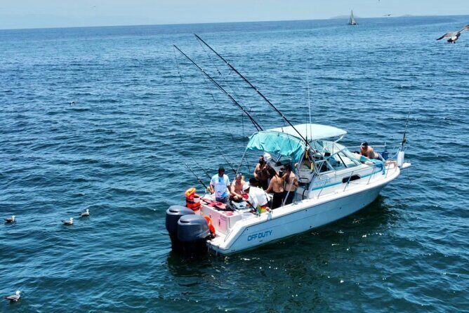 Private Boat Fishing in the Bay of Puerto Vallarta - The Sum Up