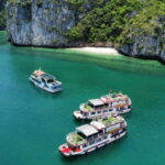 Private boat- Lan Ha Bay Half Day Tour with kayaking - What Makes This Tour Special?