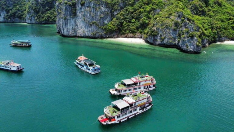 Private boat- Lan Ha Bay Half Day Tour with kayaking - What Makes This Tour Special?