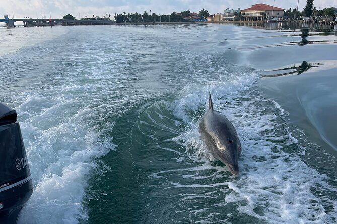 Private boat offering dolphin watching, island excursions and nature tours - FAQ