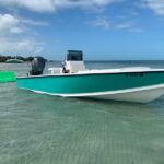 Private Boat Tour to Sand Bar Snorkel Dolphins and Sunset - Snorkeling, Dolphin Watching, and More