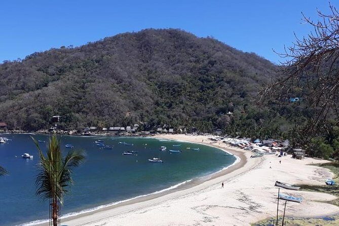 Private Boat Tour to Yelapa - Why This Tour Works for You
