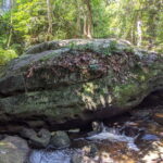 Private Bonteay Srei, Kbal Spean and Beng Mealear Tour - Frequently Asked Questions