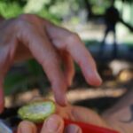 Private Botanical Garden Experience in the Heart of Maui - FAQ