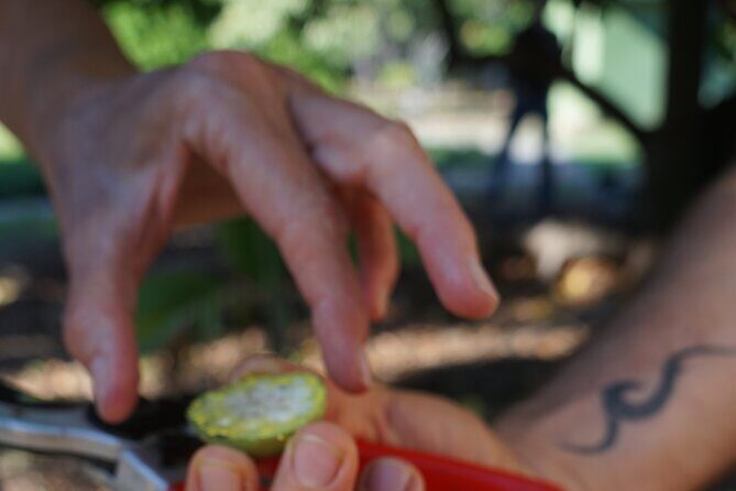 Private Botanical Garden Experience in the Heart of Maui - FAQ