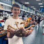 Private Busan Tour  Discover Top Sights with a Local Guide - Final Thoughts: Is This Tour Right for You?