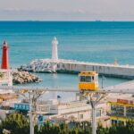 Private Busan Tour -Explore Cultural Landmarks with a Local Guide - Who Should Consider This Tour?