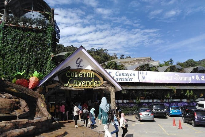 Private: Cameron Highlands 2 days 1 night Trip - What You’ll Experience Over Two Days