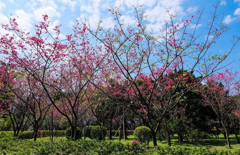 Private Car: 8-Hour Customized Taipei City Exploration! - A Deep Dive into What Makes This Tour Special