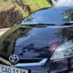 Private Car and Driver Hire in Sri Lanka  Chauffeur Services - Who Is This Tour Best For?