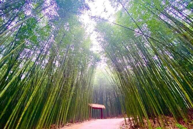 Private Car and Tour Guide Exploring Northern Vietnam - Practical Details and Traveler Insights