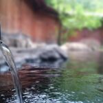 Private Car Day Trip to the Kobe Mountains, Gardens and Hot Springs from Osaka - Final Thoughts: Who Should Book This Tour?