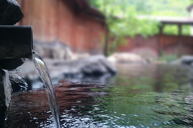 Private Car Day Trip to the Kobe Mountains, Gardens and Hot Springs from Osaka - Final Thoughts: Who Should Book This Tour?