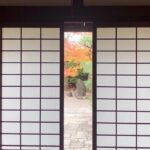Private car tour in Kyoto (up to 9) - A Deep Dive into Kyoto’s Highlights