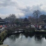 Private Car tour to Mt. Fuji/Hakone with English Driver/Guide - A Deep Dive into the Tour Experience