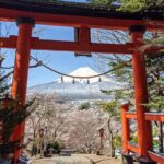 Private Car Tour to Mt. Fuji Lake Kawaguchiko or Hakone - Who Is This Tour Best For?