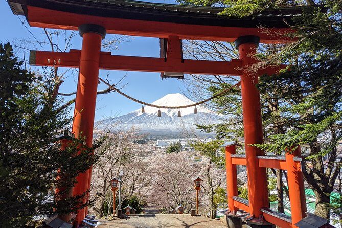 Private Car Tour to Mt. Fuji Lake Kawaguchiko or Hakone - Who Is This Tour Best For?