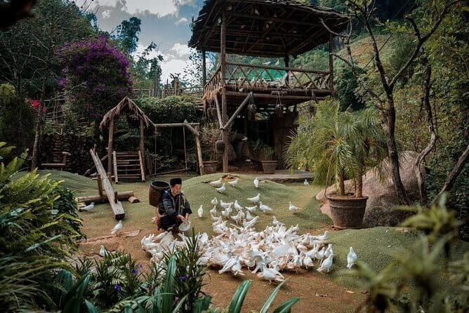 Private Car Trip to Cat Cat, Alpine Coaster and Moana Café - Who Should Book This Tour?